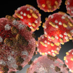 measles alert
